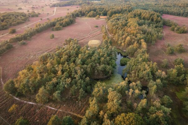 Noorderheide_4_2-min