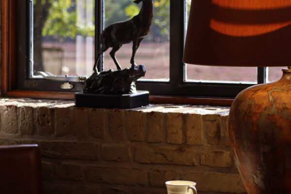 Een foto van een kop koffie en een notitieblok met daarachter een raampartij met een weids uitzicht op de Noorderheide