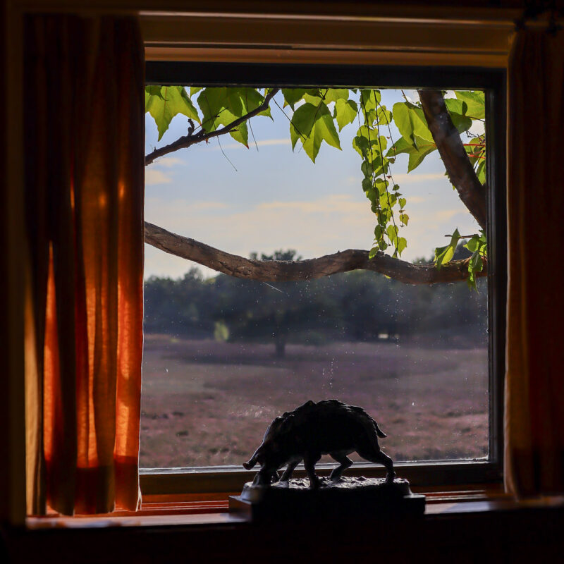 Een raampartij met weids uitzicht op de Noorderheide